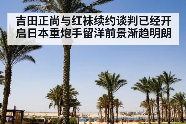 吉田正尚与红袜续约谈判已经开启日本重炮手留洋前景渐趋明朗