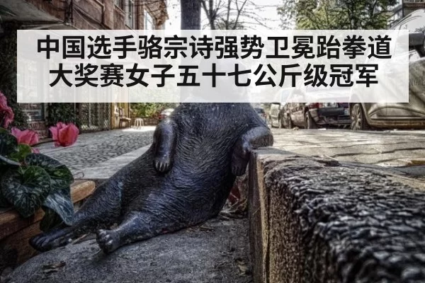 中国选手骆宗诗强势卫冕跆拳道大奖赛女子五十七公斤级冠军
